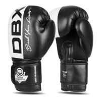 BUSHIDO Boxerské rukavice DBX B-2v20