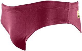 Chlapecké plavky finis youth brief solid cabernet 26