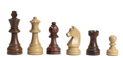 DGT Elektronické šachy Walnut II gen. s dřevěnými figurami + brašna (AKČNÍ CENA)