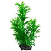 Rostlina TETRA Green Cabomba S 1 ks