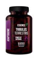 Tribulus Terrestris tobolkový - Essence Nutrition 90 kaps.