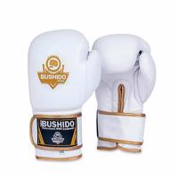 Boxerské rukavice DBX BUSHIDO DBD-B-2 10 z.