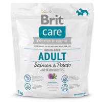 BRIT Care Dog Grain-free Adult Salmon & Potato 1 kg