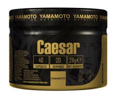 Caesar (Super kombinace 3 adaptogenů) - Yamamoto 40 kaps.