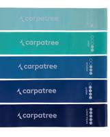 CARPETREE Carpatree Odporové Gumy Ombre Modré (5ks) Barva: Modrá