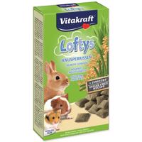 Loftys VITAKRAFT 100 g