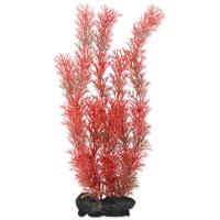 Rostlina TETRA Foxtail Red L 1 ks