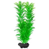 Rostlina TETRA Green Cabomba M 1 ks