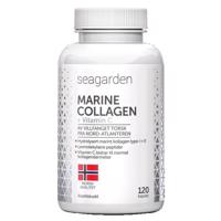 Seagarden Marine Collagen + Vitamin C 30 x 5g