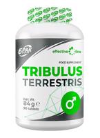 Tribulus Terrestris - 6PAK Nutrition 90 tbl.