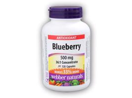 Webber Naturals Blueberry 500 mg 120 kapslí